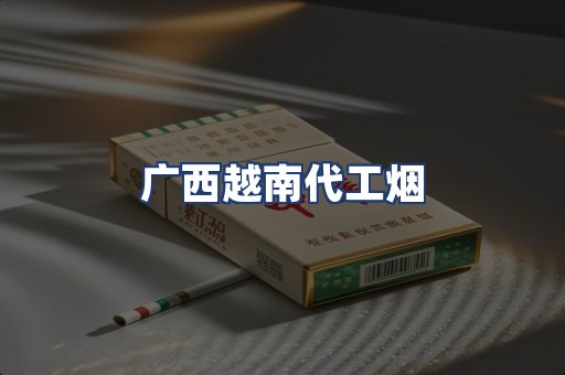 广西越南代工烟